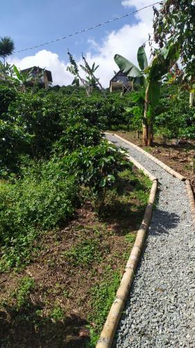 Glamping Jeric�