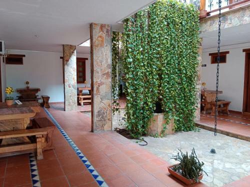 Hotel Tamarindo Risort