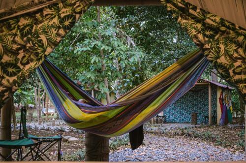 1541 Ecolodge - Glamping