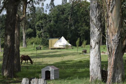 La Victoria Glamping