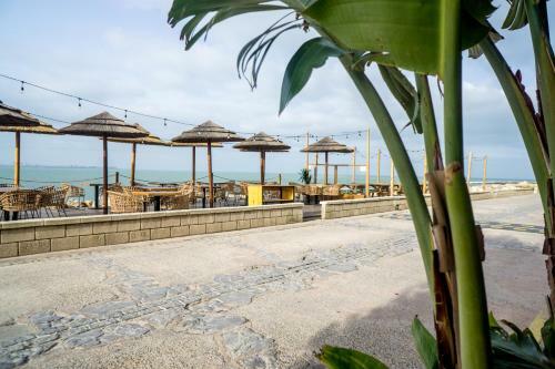 Apartamento Boho Loft Abohem Puerto Sherry