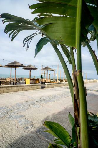 Apartamento Boho Loft Abohem Puerto Sherry
