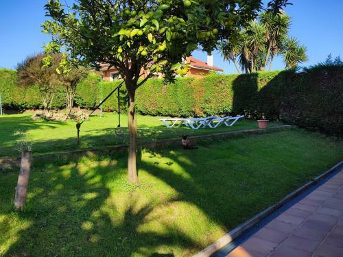 La Buganvilla