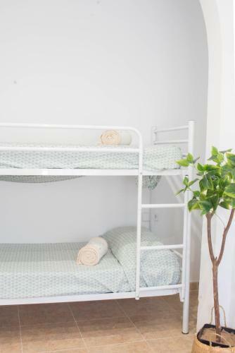 Apartamento Netania