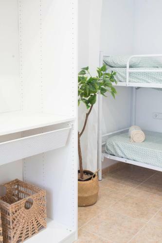 Apartamento Netania