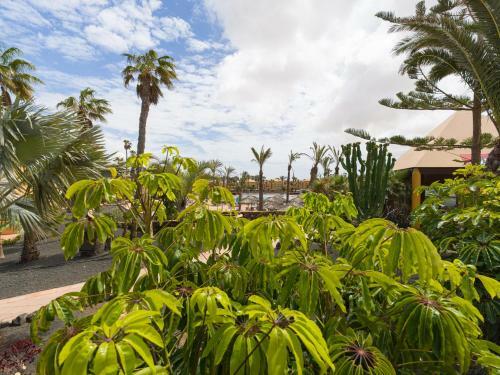 Apartamento Oasis Con Piscina En Corralejo