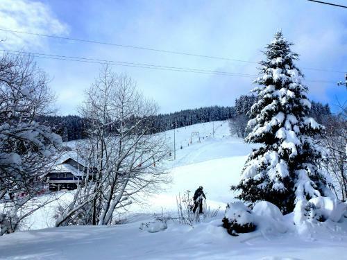 Apartamento Ferienwohnung Schluchsee