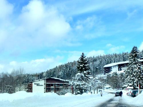 Apartamento Ferienwohnung Schluchsee