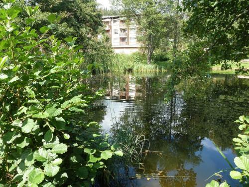 Apartamento Ferienwohnung Schluchsee