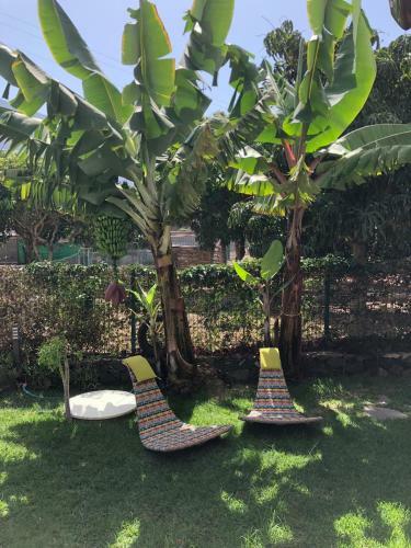 Apartamento Caser�o De La Playa - Adults Only