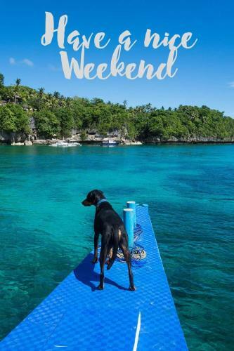 Hotel Bohol-lahoy Dive And Beach Resort