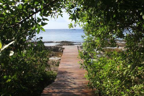 Apartamento Estudio En Cozumel # 3