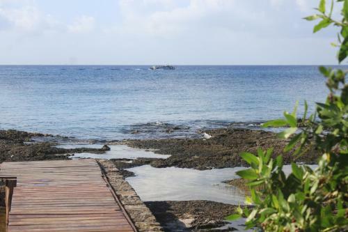 Apartamento Estudio En Cozumel # 3