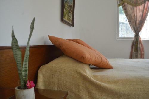 Apartamento Bonitos Bungalows En Centro De Cuernavaca