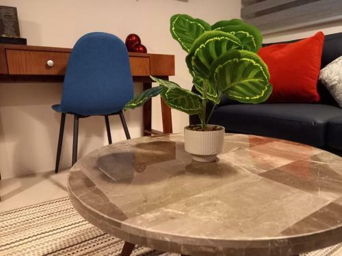 Guadalajara, C�ntrico, Moderno Y C�modo Apartamento AC Gym Alberca