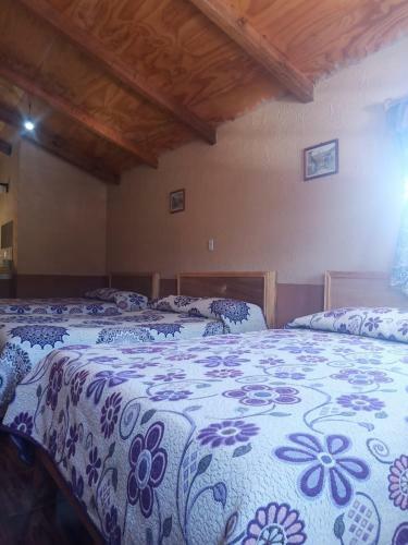 Hotel Casa Grande