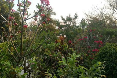 Quinta San Rafael, Espacio �nico En La Naturaleza