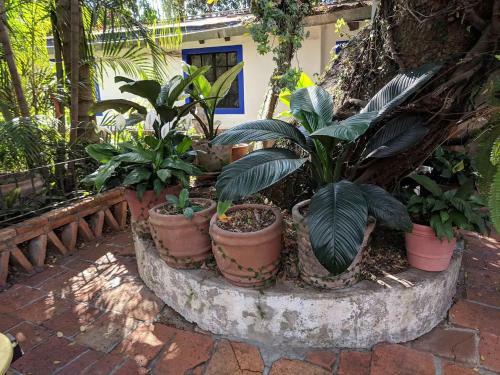 Lodge Casa Blanca