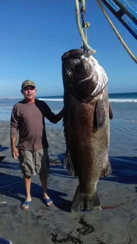 The Black Bass Lodge