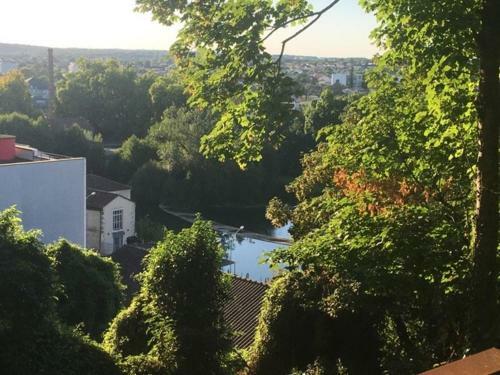 �crin De Verdure Centenaire Avec Vue Hyper Centre