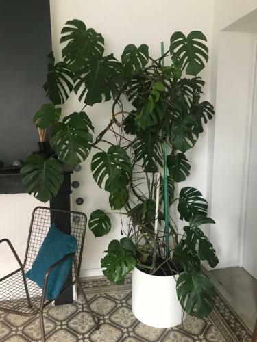Apartamento Le Marais