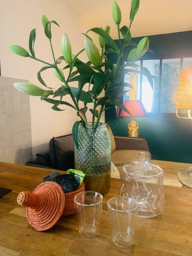 Apartamento Appartement Cosy Le Balloon Avec Wifi