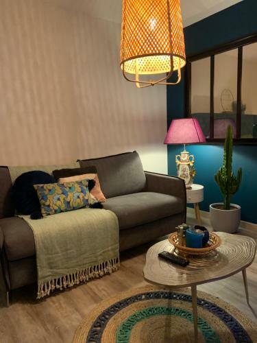 Apartamento Appartement Cosy Le Balloon Avec Wifi