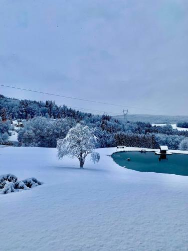 Villa Nature Cottage Vosges Spa Le Cerf