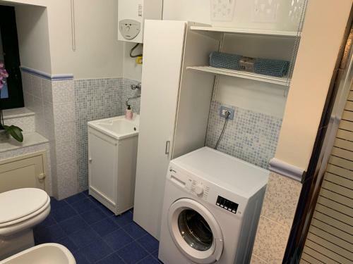 Terre Daci Apartments - Casa Vastea