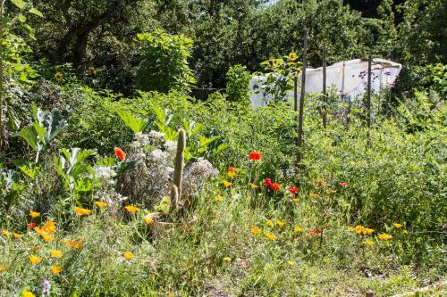 Bed & Breakfast Domaine Des Iris
