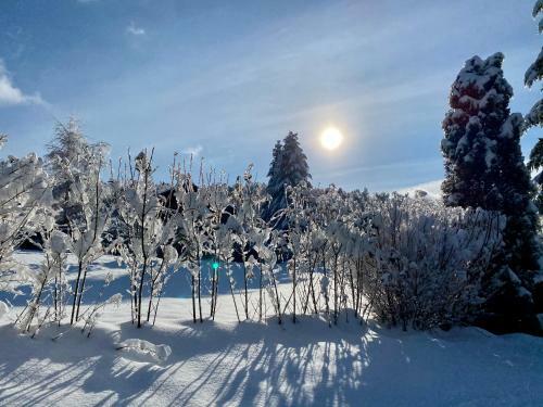 Le Hygge Chalet G�rardmer-spa