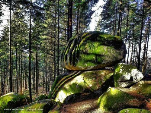 La Roulotte Des Clart�s