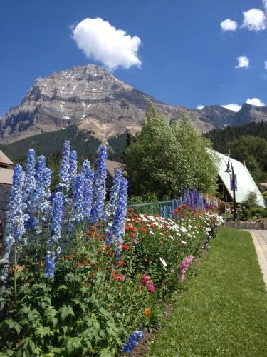 Motel Canadian Rockies Inn