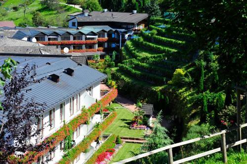 Hotel Dollenberg