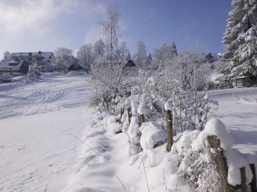 Nice, Comfortable Apartment In Langewiese Near Winterberg