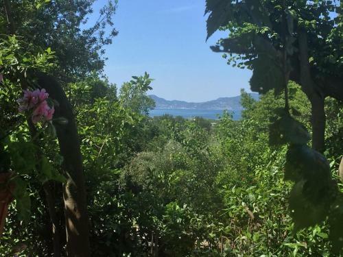 Bed & Breakfast Lemontree House Bacoli