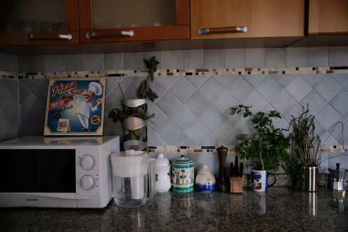 Bed & Breakfast Lemontree House Bacoli