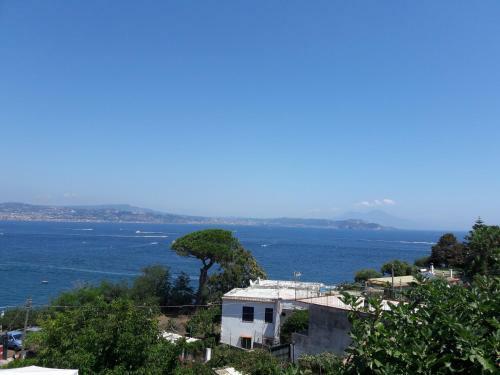 B&B Dea Fortuna