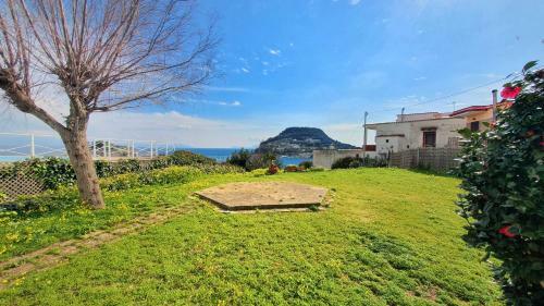 B&B Al Mir�