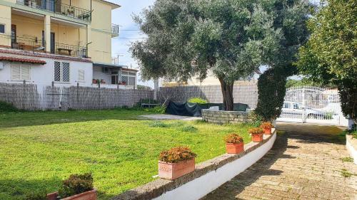 B&B Al Mir�