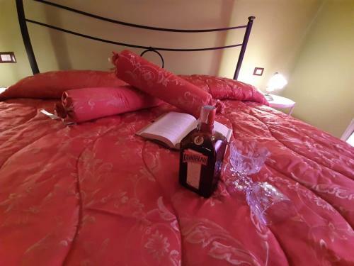 Hostal Green Universe
