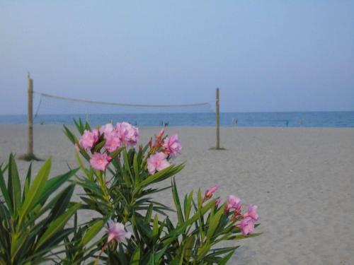 Camping Village Oasi