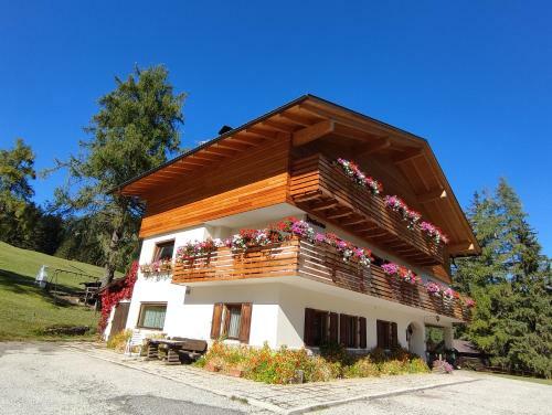Apartments B&B Pretermo