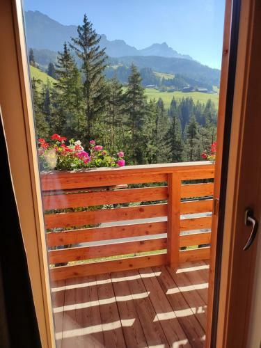 Apartments B&B Pretermo
