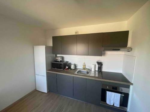 Apartamento Superbe Central Parc 1 - Appartement Au C?ur D?annemasse