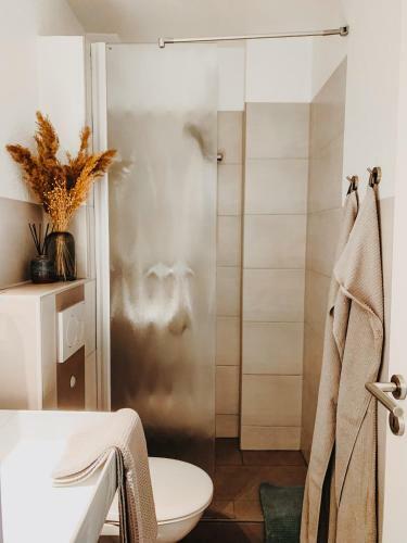 Apartamento Berggefl�ster Winterberg