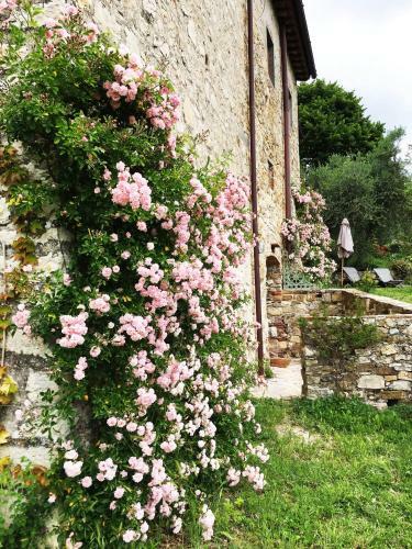 Apartamento Podere Di Belforte