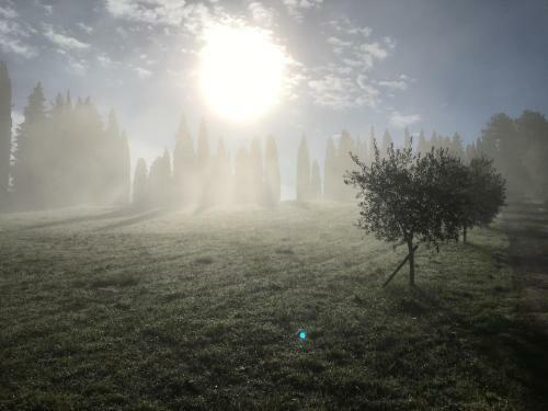 Apartamento Podere Di Belforte