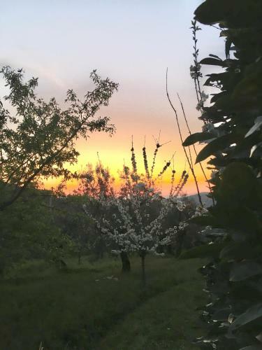 Apartamento Podere Di Belforte