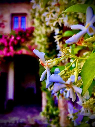 Apartamento Podere Di Belforte